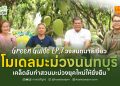 เคล็ดลับทำสวนมะม่วงยุคใหม่ให้ยั่งยืน  Green Guide – วงสนทนาสีเขียว EP.6 “โมเดลมะม่วงนนทบุรี”