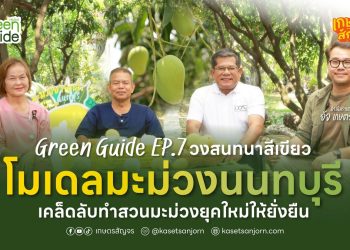 เคล็ดลับทำสวนมะม่วงยุคใหม่ให้ยั่งยืน  Green Guide – วงสนทนาสีเขียว EP.6 “โมเดลมะม่วงนนทบุรี”