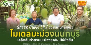เคล็ดลับทำสวนมะม่วงยุคใหม่ให้ยั่งยืน  Green Guide – วงสนทนาสีเขียว EP.6 “โมเดลมะม่วงนนทบุรี”