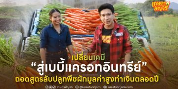 เปลี่ยนเคมีสู่ “เบบี้แครอทอินทรีย์” ถอดสูตรลับปลูกพืชผักมูลค่าสูงทำเงินตลอดปี 