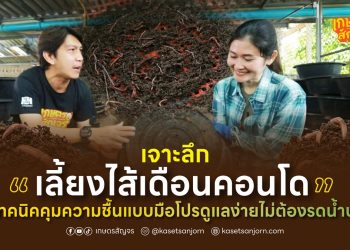เจาะลึก “เลี้ยงไส้เดือนคอนโด” กับ เทคนิคคุมความชื้นแบบมือโปร ดูแลง่ายไม่ต้องรดน้ำบ่อย
