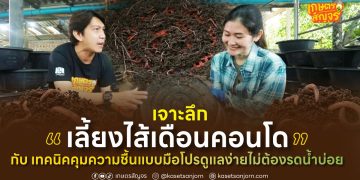 เจาะลึก “เลี้ยงไส้เดือนคอนโด” กับ เทคนิคคุมความชื้นแบบมือโปร ดูแลง่ายไม่ต้องรดน้ำบ่อย