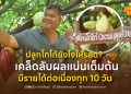 ปลูกโกโก้ยังไงให้รอด? เคล็ดลับผลแน่นเต็มต้น มีรายได้ต่อเนื่องทุก 10 วัน