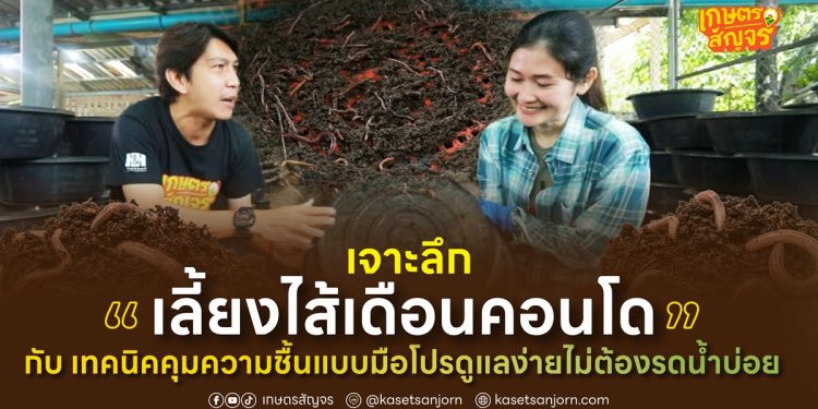 เจาะลึก “เลี้ยงไส้เดือนคอนโด” กับ เทคนิคคุมความชื้นแบบมือโปร ดูแลง่ายไม่ต้องรดน้ำบ่อย