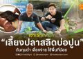 เจาะลึกเทคนิค “เลี้ยงปลาสลิดบ่อปูน”  ต้นทุนต่ำ เลี้ยงง่าย ใช้พื้นที่น้อย