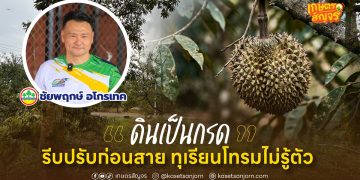 “ดินเป็นกรด”  รีบปรับก่อนสาย ทุเรียนโทรมไม่รู้ตัว 