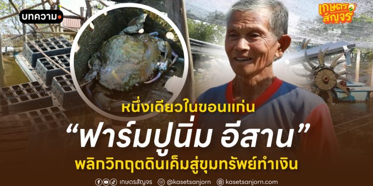 ฟาร์มปูนิ่ม อีสาน หนึ่งเดียวในขอนแก่น พลิกวิกฤตดินเค็มสู่ขุมทรัพย์ทำเงิน 
