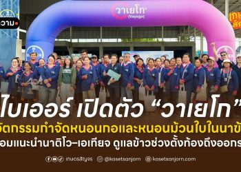 ไบเออร์ เปิดตัว “วาเยโก” นวัตกรรมกำจัดหนอนกอและหนอนม้วนใบในนาข้าว พร้อมแนะนำนาติโว–เอเทียจ ดูแลข้าวช่วงตั้งท้องถึงออกรวง