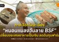 ทางเลือกใหม่! เลี้ยง “หนอนแมลงวันลาย BSF” เปลี่ยนขยะเศษอาหารเป็นเงิน ลดต้นทุนฟาร์ม
