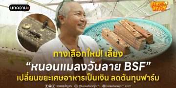 ทางเลือกใหม่! เลี้ยง “หนอนแมลงวันลาย BSF” เปลี่ยนขยะเศษอาหารเป็นเงิน ลดต้นทุนฟาร์ม