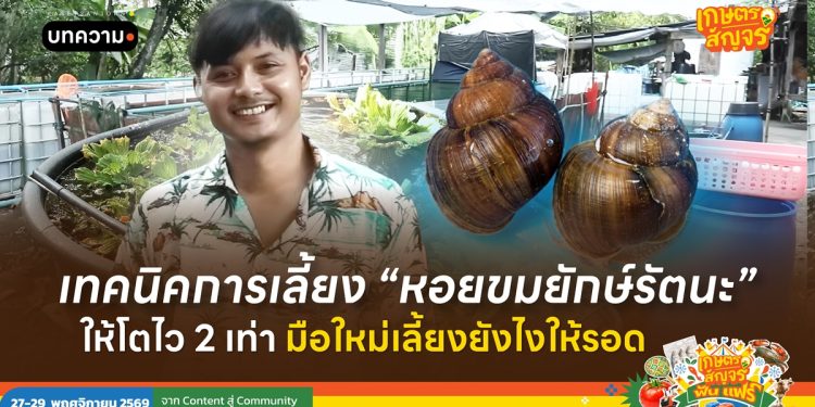 เทคนิคการเลี้ยง “หอยขมยักษ์รัตนะ” ให้โตไว 2 เท่า มือใหม่เลี้ยงยังไงให้รอด