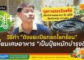 วิธีทำ “ถังขยะเปียกลดโลกร้อน” เปลี่ยนเศษอาหารเป็นปุ๋ยหมักบำรุงดิน 