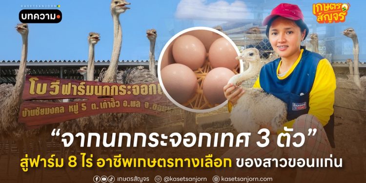 จากนกกระจอกเทศ 3 ตัว สู่ฟาร์ม 8 ไร่ อาชีพเกษตรทางเลือกของสาวขอนแก่น 