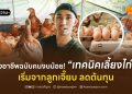 สร้างอาชีพฉบับคนงบน้อย! เทคนิคเลี้ยงไก่ไข่ เริ่มจากลูกเจี๊ยบ ลดต้นทุน