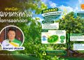 เทคนิค “สะสมอาหารทุเรียน” เพื่อการออกดอก