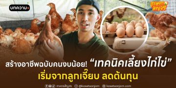 สร้างอาชีพฉบับคนงบน้อย! เทคนิคเลี้ยงไก่ไข่ เริ่มจากลูกเจี๊ยบ ลดต้นทุน