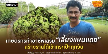 เกษตรกรทำอาชีพเสริม เลี้ยงแหนแดง สร้างรายได้เข้ากระเป๋าทุกวัน 