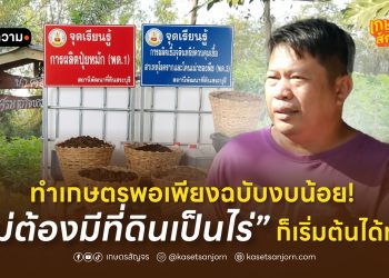 ทำเกษตรพอเพียงฉบับงบน้อย! ไม่ต้องมีที่ดินเป็นไร่ ก็เริ่มต้นได้ทันที