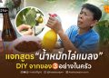 แจกสูตรน้ำหมักไล่แมลง DIY จากของ 3 อย่างในครัว ปลอดสารเคมี เพลี้ย-หนอน ตายชัวร์!