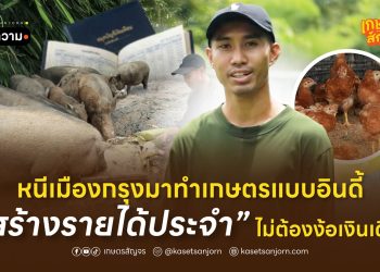 หนีเมืองกรุงมาทำเกษตรแบบอินดี้ สร้างรายได้ประจำ ไม่ต้องง้อเงินเดือน