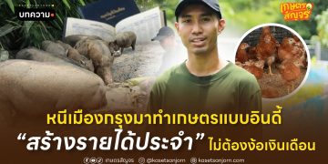 หนีเมืองกรุงมาทำเกษตรแบบอินดี้ สร้างรายได้ประจำ ไม่ต้องง้อเงินเดือน 